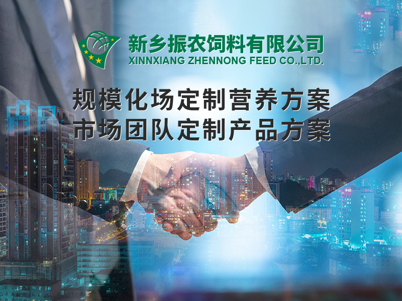 規(guī)?；喼?>
                          </div>
                          <div   id=